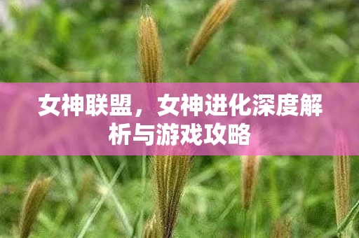 女神进化深度解析与游戏攻略图片