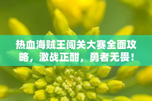 热血海贼王闯关大赛全面攻略图片