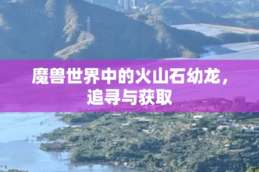 魔兽世界中的火山石幼龙图片