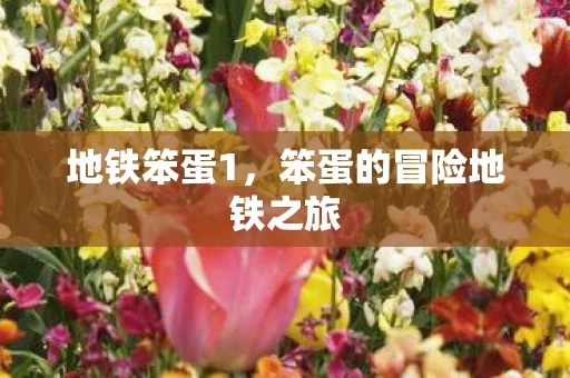 笨蛋的冒险地铁之旅图片
