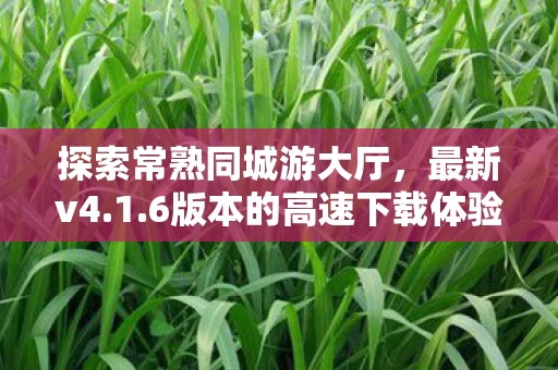 6版本的高速下载体验图片