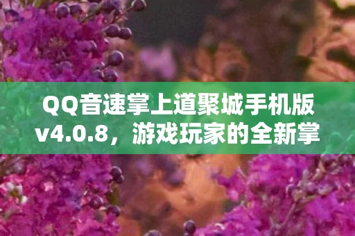 QQ音速掌上道聚城手机版v4图片