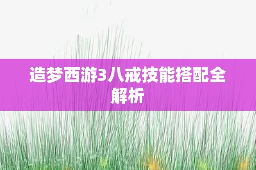 造梦西游3八戒技能搭配全解析图片