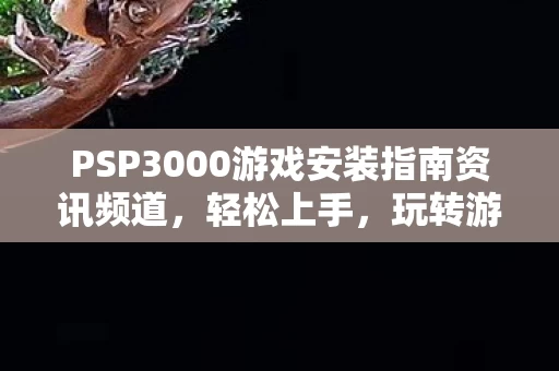 PSP3000游戏安装指南资讯频道图片