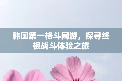 探寻终极战斗体验之旅图片