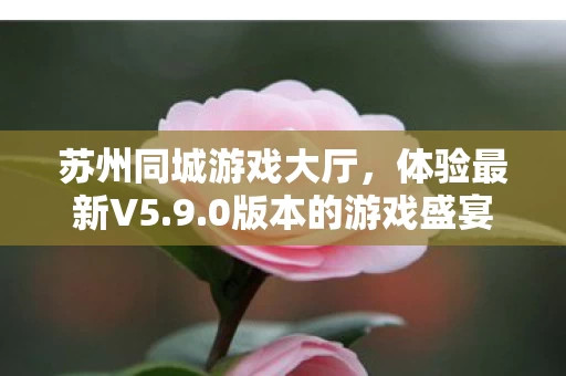 苏州同城游戏大厅图片