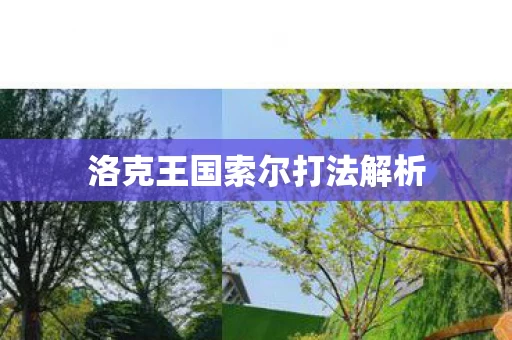 洛克王国索尔打法解析图片