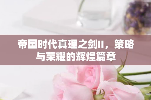帝国时代真理之剑II图片