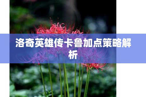 洛奇英雄传卡鲁加点策略解析图片
