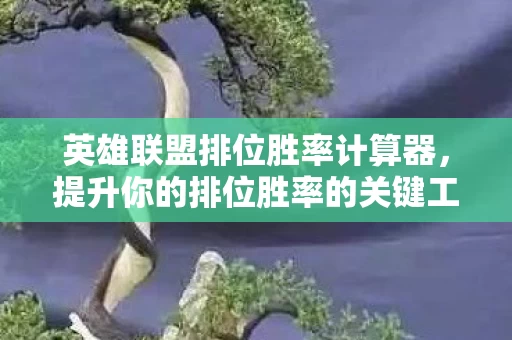 提升你的排位胜率的关键工具图片