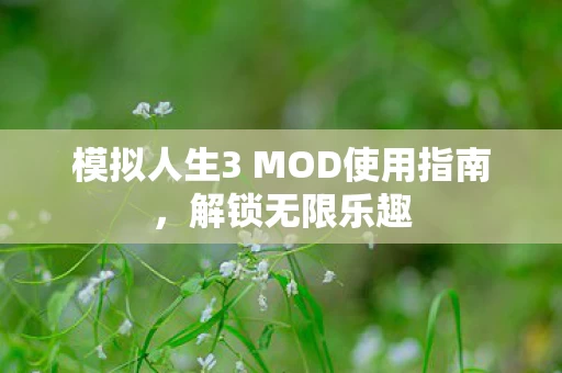 模拟人生3 MOD使用指南图片