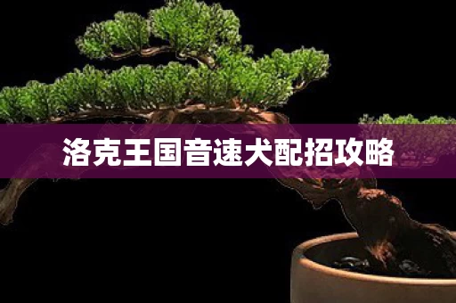 洛克王国音速犬配招攻略图片