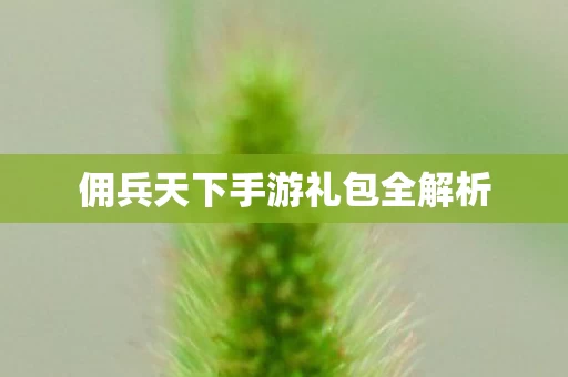 佣兵天下手游礼包全解析图片