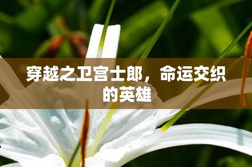 穿越之卫宫士郎图片
