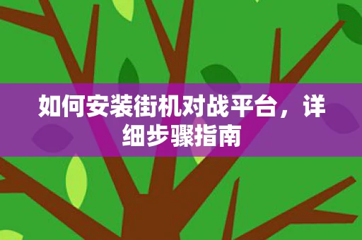 如何安装街机对战平台图片