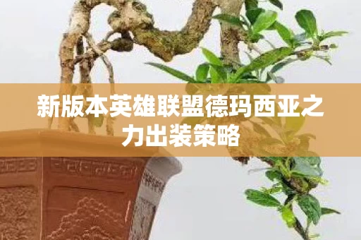 新版本英雄联盟德玛西亚之力出装策略图片