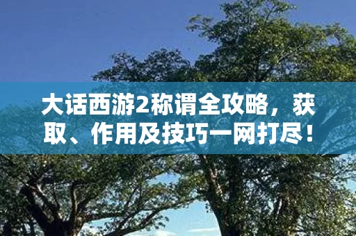 大话西游2称谓全攻略图片