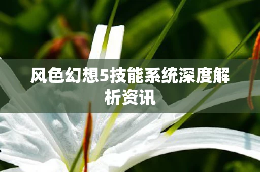 风色幻想5技能系统深度解析资讯图片