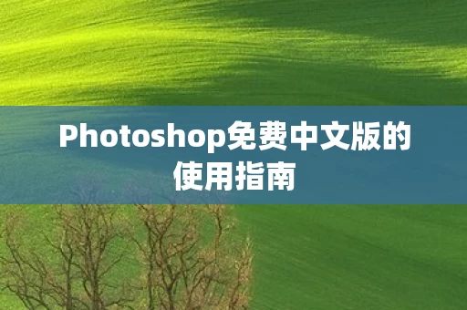 Photoshop免费中文版的使用指南图片
