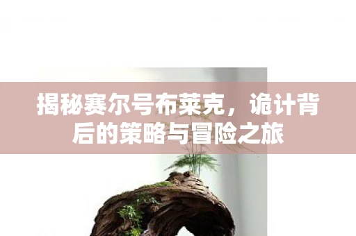 诡计背后的策略与冒险之旅图片