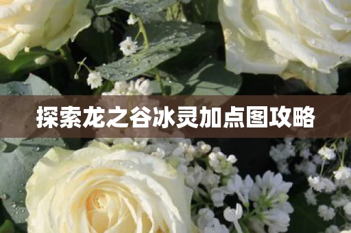 探索龙之谷冰灵加点图攻略图片