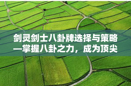 剑灵剑士八卦牌选择与策略图片
