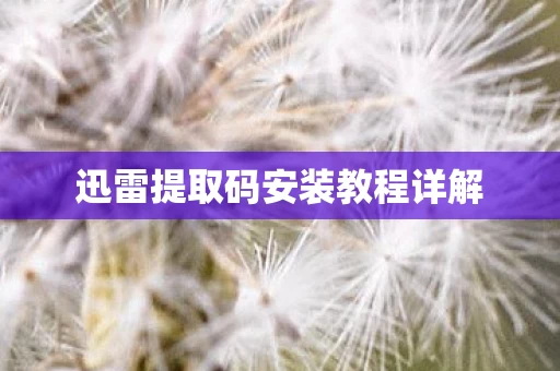 迅雷提取码安装教程详解图片