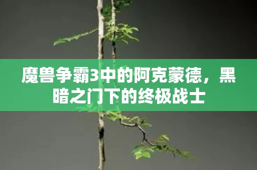 魔兽争霸3中的阿克蒙德图片