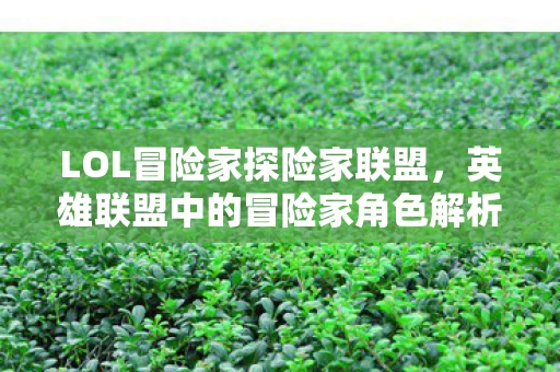 英雄联盟中的冒险家角色解析图片