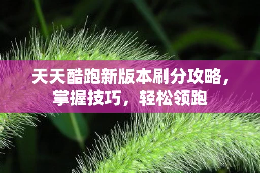 天天酷跑新版本刷分攻略图片