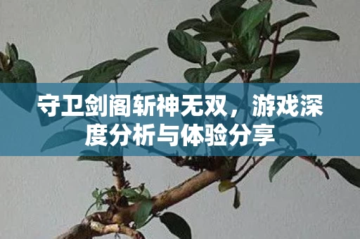 游戏深度分析与体验分享图片