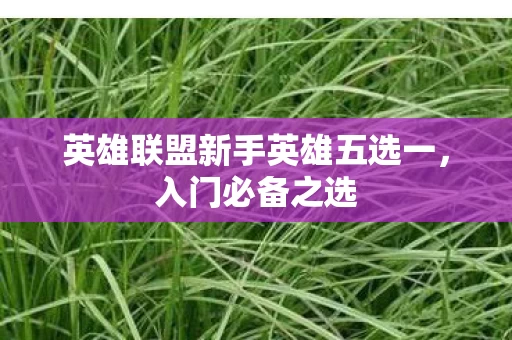 英雄联盟新手英雄五选一图片