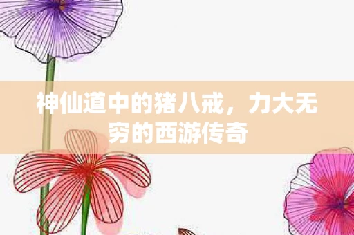 力大无穷的西游传奇图片
