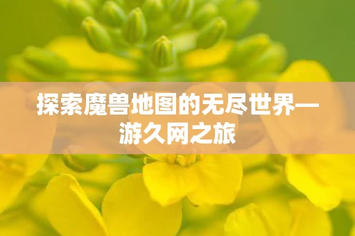 探索魔兽地图的无尽世界图片