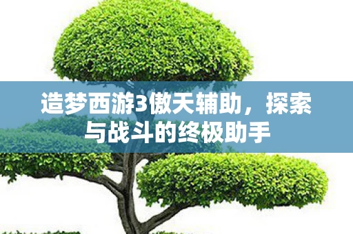 探索与战斗的终极助手图片