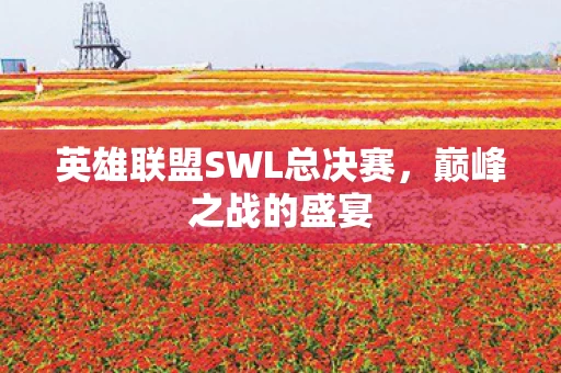 英雄联盟SWL总决赛图片
