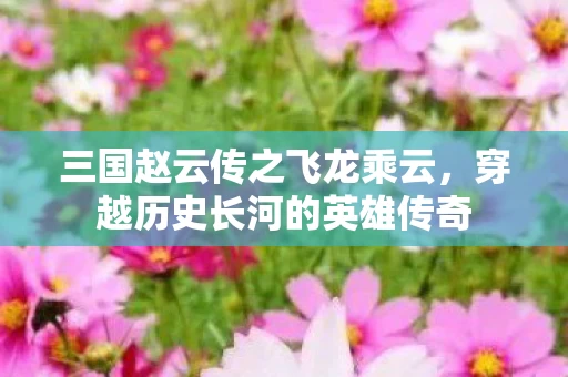 穿越历史长河的英雄传奇图片