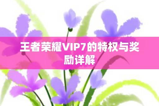 王者荣耀VIP7的特权与奖励详解图片