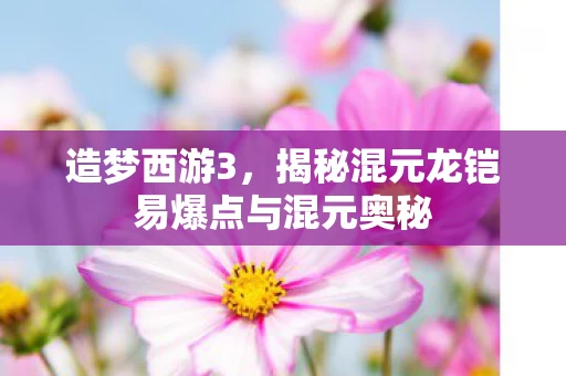 揭秘混元龙铠易爆点与混元奥秘图片
