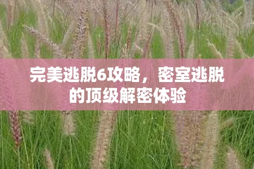 密室逃脱的顶级解密体验图片