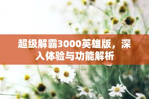 超级解霸3000英雄版图片