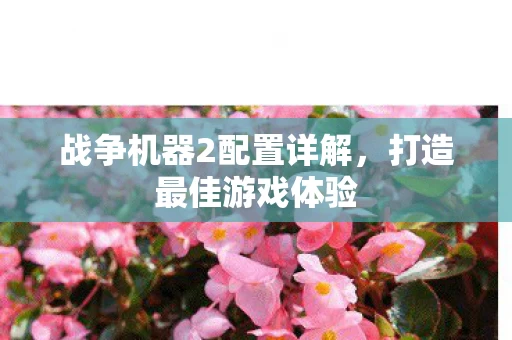 战争机器2配置详解图片