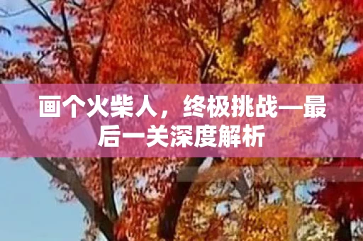 最后一关深度解析图片