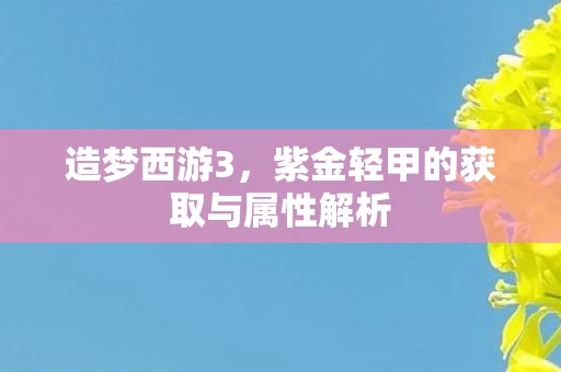 紫金轻甲的获取与属性解析图片