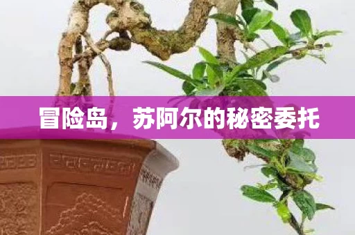 苏阿尔的秘密委托图片
