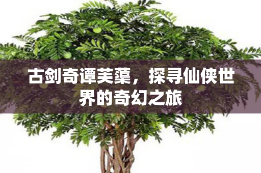 探寻仙侠世界的奇幻之旅图片