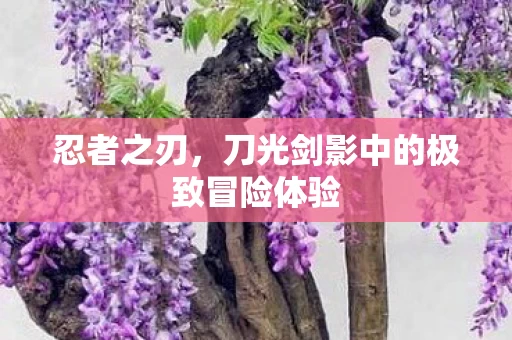 刀光剑影中的极致冒险体验图片