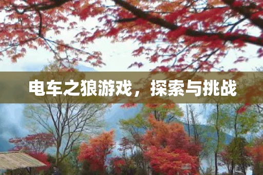 电车之狼游戏图片