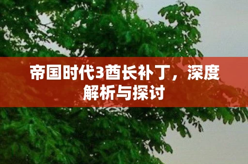 帝国时代3酋长补丁图片
