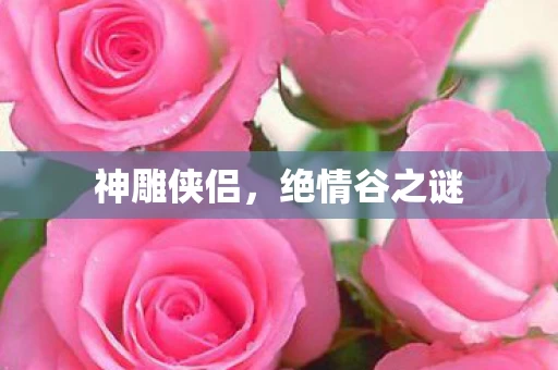 绝情谷之谜图片